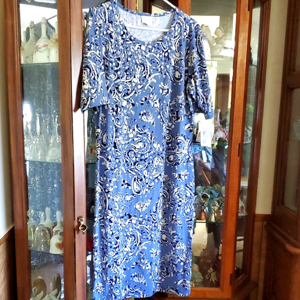 *CH) NWT LuLaRoe Julia Blue and White Dress